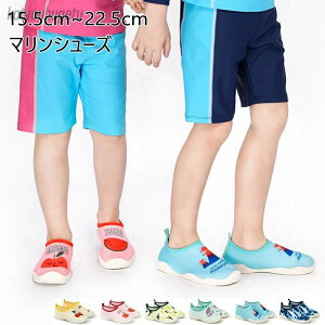 yzp C }V[Y LbY }X|[c ANAV[Y r[`V[Y ̎q j̎q  AEghA v[ 