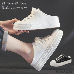 yzXj[J[ T_  tbgXj[J[ q[6cm Cq[ LoX Xj[J[ V[Y fB[X ؍ C