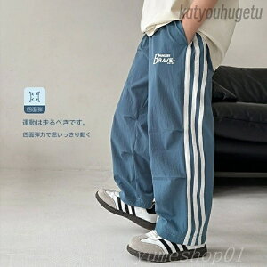 yz2025Ă̐V[X^C{[C[YtH[XG[hGXeBNX|bc{T}[JWApcTCY̎qppc