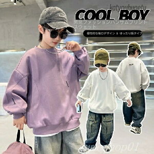 yzj̎q̃XEFbgVct2025VX^C̃~fBAAhrbO{[CYtƏH̎q̃nT[YgbvgfBȎqp̏t