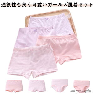 yz Mtg WjA  ǂ { v[g ʋC R w ̎q Ci[ q   qp  Rbg {NT[V[c X^_[hV[c V