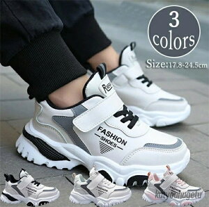 yzH~C Xj[J[ [Jbg ɂ N [Jbg Xb| C V[Y LbYAbv [Jbg _bhXj[J[ LbYC Xj[J[  3colors