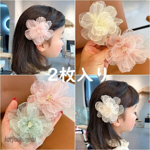 yz[  Pl Pn wAANZT[ ̎q qg ins IV  ANZT[ p[eB[/t/\//EFfBO Mtg v[g 