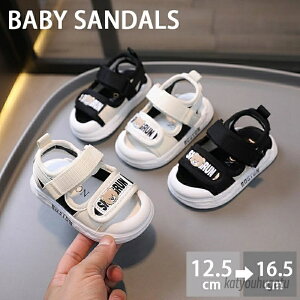 yzt@[XgV[Y ܐK[h xr[T_ p T_ LbY  xr[T_ 12.5cm V T_