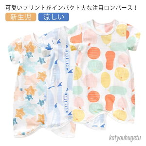 yzLbY xr[   ʋC Rbg  {fBX[c  V Jo[I[ Ԃ xr[  p[X