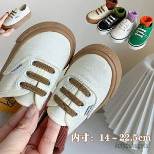 yzYbN 킢 V[Y C V[Y j̎qxr[ ̎q LbY 㗚X|[cC xr[Xj[J[qC