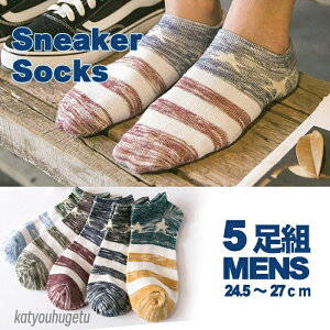 yz C Y Ԃ  {[_[ \bNX 5Zbg ėp  Ԃ V[g\bNX V[g  j t H AN\bNX Xj[J[\bNX  