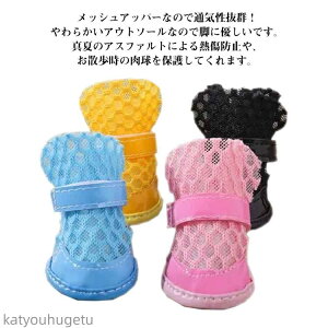 yzT_  4Zbg hbOu[c C T_ C C ₷ 炩 ~ hbOV[Y ybg  C  