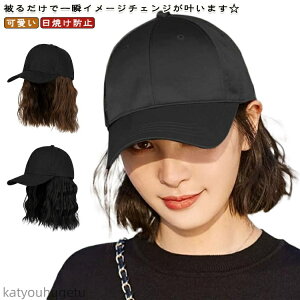 yzEBbO V[g {u Xq EF[u EBbOtLbv  O΍ UVJbg LbvEBbO  ×p