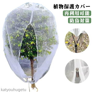 yz|lbg 悯lbg В ؉ Wbp[t v^[ t@Xi[t  ʋC h΍ hJo[ h lbg