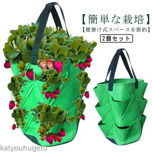 yzǊ| v^[ 2Zbg sDz 3K tFg Aؔ A  10|Pbgt @\ z