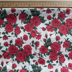 yz140cm 50cmP n z zn vgn O  _炩 ԕn o [Y bh yVCOʔ