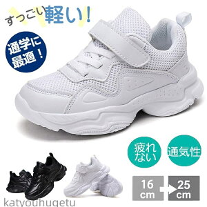 yzfB[X Y LbY _X ^C ؍  jp lC jOV[Y _XV[Y