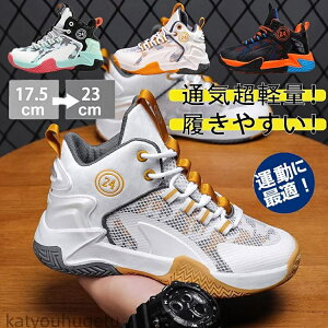 yzV[Y ^ C LbY j̎q  ₷ EH[LOV[Y WjA JbRCC  