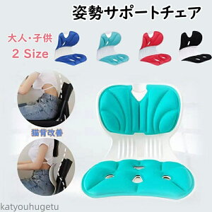 【送料無料】椅子 子供 大人 骨盤サポートチェア 姿勢矯正 クッション 骨盤 立てる 腰当て シート デスクワーク 姿勢 グッズ 座椅子