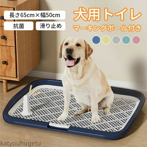 yz^ pgCg[ ~ ybgpi pgC ybggC ybg bV gC ~ ybgpi gC