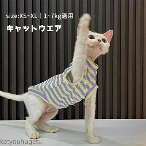 yzLbgEGA L _炩  XgCv  jbg Ȃ TVc t  RjXт̔L  EȒP