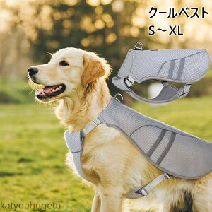 yzN[xXg S`XL p ⊴ pxXg ЂxXg ⊴ pĕ pR[g ʋC MǑ΍ Ăh