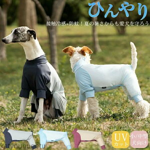 yzUVJbg AEghA   t   ڐG⊴ bVK[h h ^  ^ Ȃ p[X Ђ N[