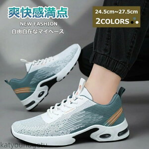 yzV[Y Y _CGbgV[Y YV[Y YXj[J[ lC ₷ ʊw U ₷  t