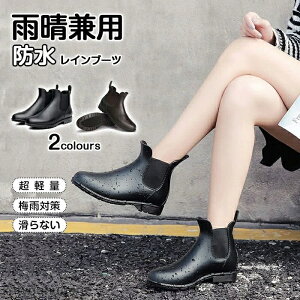 yzfB[X CV[Y Y TChSAu[c  u[c V[g  h C J 22.5cm-26.5cm H 