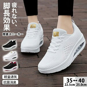 yzfB[X  y i[XV[Y  ɂ  _CGbgV[Y p D^ 5cm EH[LOV[Y ƌC