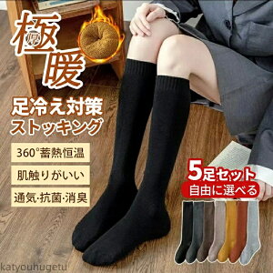 yzfB[X  hۉ nC\X C fB[X ₦΍ \bNX XN[\bNX XgbLO O\bNX