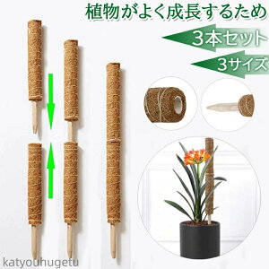 yzRRXeBbN Xe x RRibc  |x |gX Ax K[f  Ԃ A 