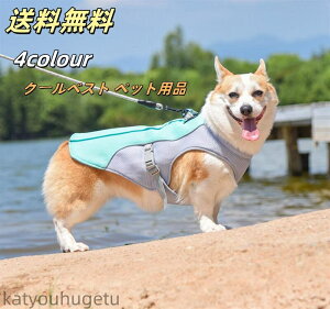 yzybg S4F N[xXg ybgpi p MǑ΍ N[xXg ЂxXg ⊴  ^ ^ ^