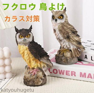 yz悯 悯 ΍ {  hhb΍ JX΍ h 悯ObY u I[ig  fBXvC