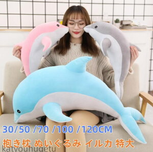yzʂ CJ  킢 n ޏ  Dw O 炩  XgX w u