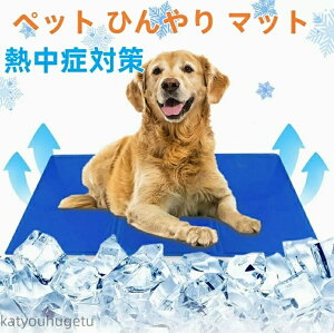 yzЂ }bg pV[g  pObY L ΍ObY N[}bg ⊴}bg p Ђ Ẵybg}bg