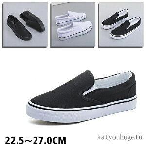 yzjp  ItBX JWA LoX Vv   n fbLV[Y fB[X Y Xj[J[