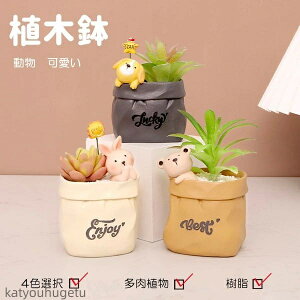 yzG [ ObY K[fjO  e eE  킢 CeA u 񂹐A A T{e  