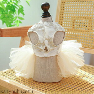 yz `[XJ[g DJt  ^  t Vp  i s[X  ̎q hX 