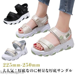 yzX|T Ȃ ɂ ₷ X|[cT_  T_ l Ȃ fB[X Xj[J[T_