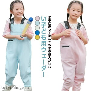 yzCpc ̎q j̎q ̌^ tC  Vђ EFXgAWX^[t h LbY ނ k EF[_[