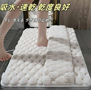 【送料無料】乾度良好 Dナチュレ バスマット約50cm×80cm 大きめ 洗える おしゃれ 無地 シンプル 干し 洗える ラグ 小さめ 滑り止め ギフト