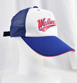 【中古】ミズノ 日本ウェルネススポーツ大学 野球部 選手 支給品 帽子 ミ硬式 ユニフォーム L MIZUNO