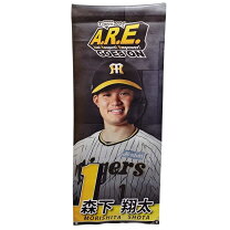 楽天市場】阪神タイガース タペストリーの通販