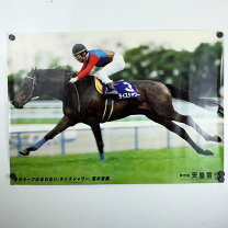 楽天市場】ライスシャワー 競馬の通販