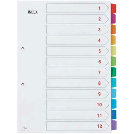 テージー カラーインデックスPP　A4　12山　5組