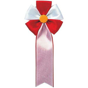 ⒹY L̓{@ܕ@ԁ@10