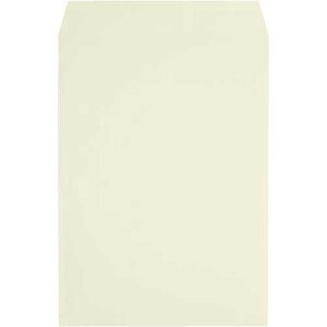 LOR[|[V vCoV[ی압@p2@\tgN[500