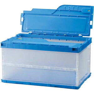 Ob ^yʃIR@40L@t^̌^@