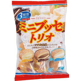 天恵製菓 ミニブッセトリオ130g×3