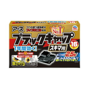 A[X ubNLbv@1NԌI@XL}p@16