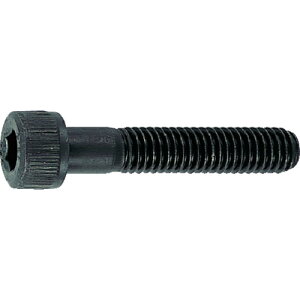 gXRR Zpt{g@ߔlW@TCYM6X75y񏤕iz