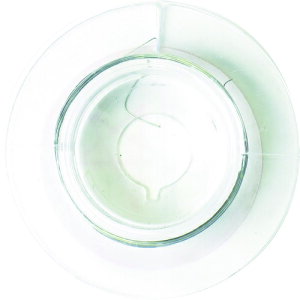 _Ch[ng XC[XeX32×10my񏤕iz