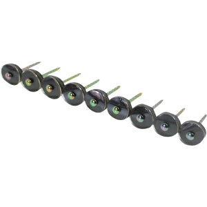 _Ch[ng |J[{lCgAPB@00019421y񏤕iz